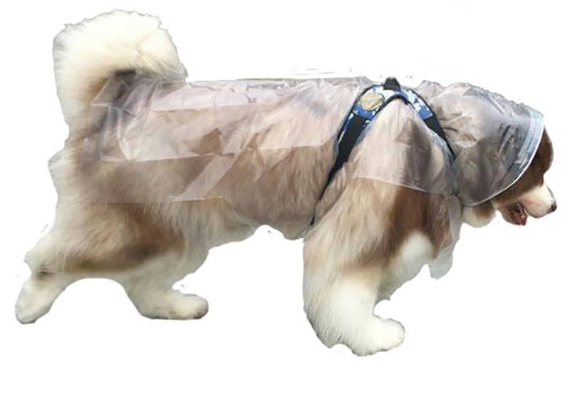 Pet Raincoat