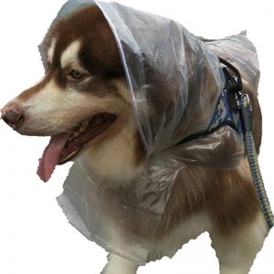 Even your furbabies need to stay out of the rain. Our custom biodegradable raincoats for dogs fit large breeds up to Alaskan Malamute and Great Danes