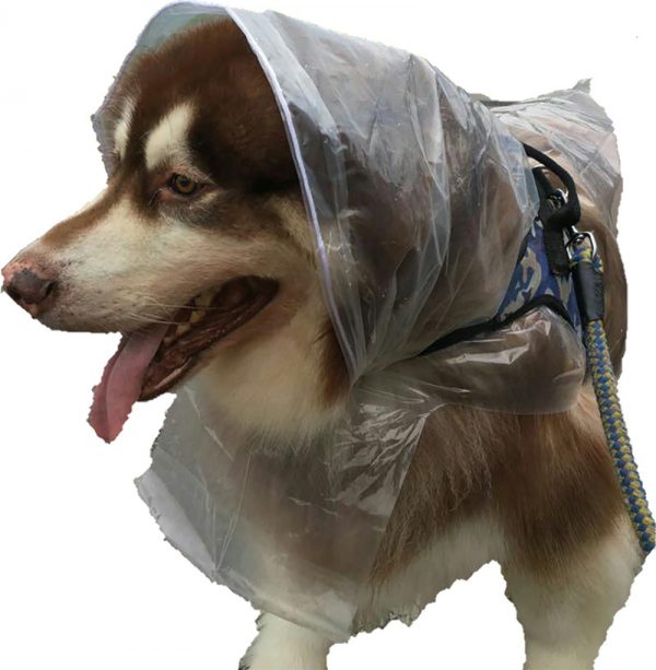 Even your furbabies need to stay out of the rain. Our custom biodegradable raincoats for dogs fit large breeds up to Alaskan Malamute and Great Danes