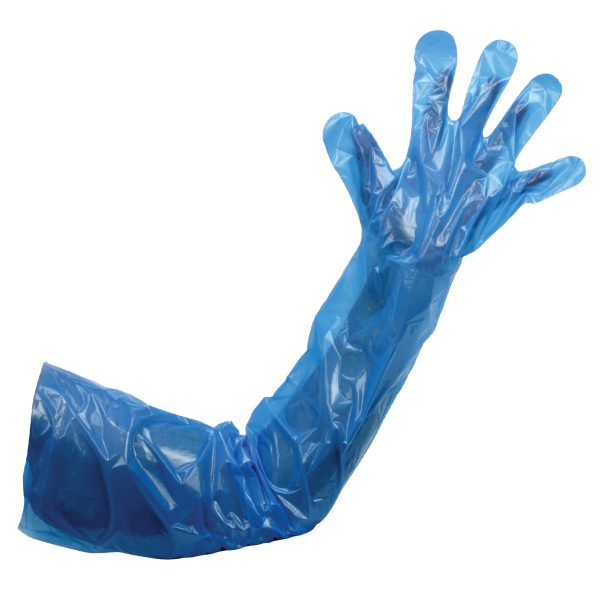 Blue PE shoulder length vet gloves